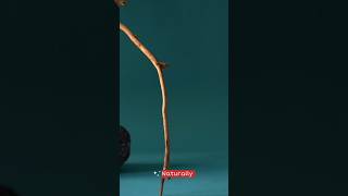 No Foam, No Chemical… Phir Bhi Fresh? 🤔 (Miswak) Sunnah Science Hub