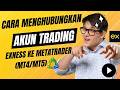 Daftar Exness | Cara Menghubungkan Akun Trading Exness Ke Metatrade (MT4/MT5) #Exness