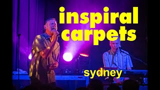 Inspiral Carpets - Sydney - August 4 2023