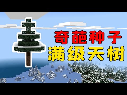 我的世界：奇葩種子大賞，樹都上天了，沒人管管嗎？