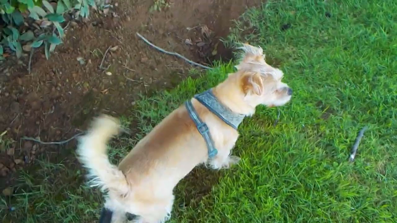 DSCN9001:  Omega Products International