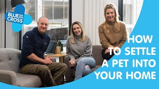 How To Settle A Pet Into Your Home | The Petcast | Series One: Episode Three | Blue Cross
