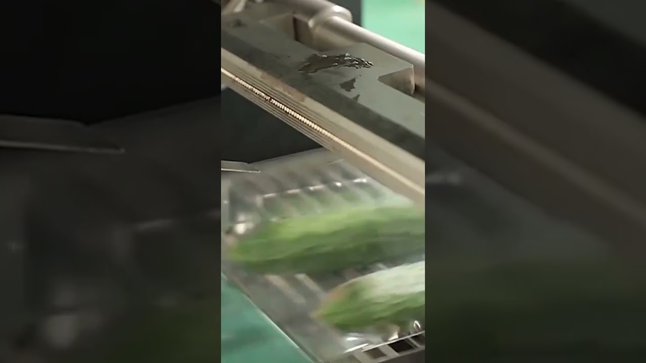 How to use a pillow packaging machine to package fresh vegetables | From farm to supermarket