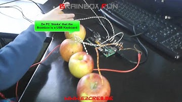 Brainbox makey-Makey Keyboard HID