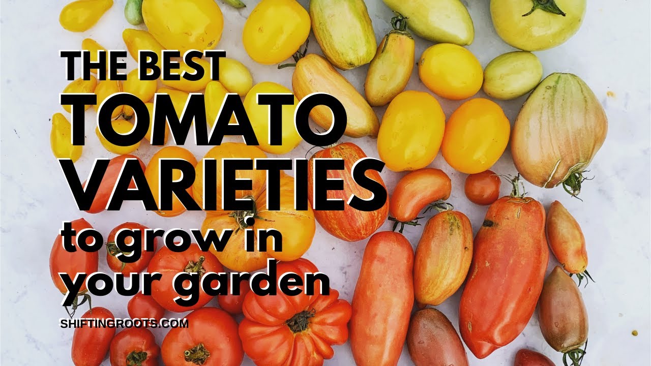 20 Canadian Seed Companies Nurseries To Order The Garden Or Landscape Of Your Dreams