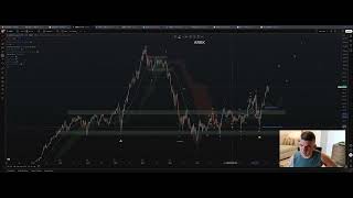 Weekend Market Update: #BTC #SPX #ARKK #UNH(has it bottomed?)