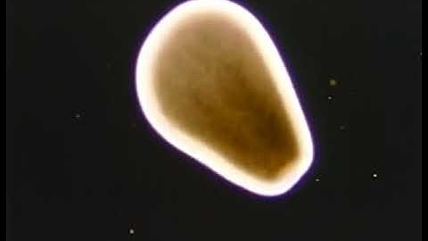 National Geographic Special, The Invisible World (1979)