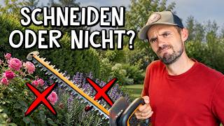 Rückschnitt im Herbst: Diese Fehler rächen sich im Frühjahr