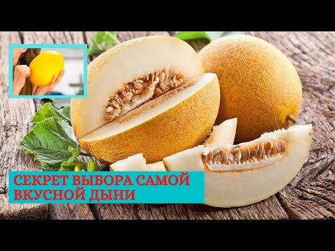 КАК ВЫБРАТЬ САМУЮ СПЕЛУЮ И СЛАДКУЮ ДЫНЮ!