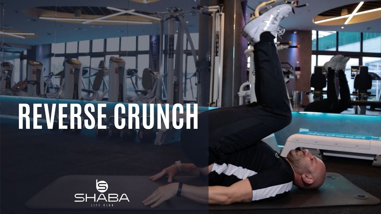 REVERSE CRUNCH EGZERSİZİ NASIL YAPILIR ? HOW TO REVERSE CRUNCH? - YouTube