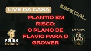 Fumaça de Conselhos com FPunk_grower - Especial Alunos OGLAB - Plantio em Risco