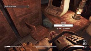 Fallout 4 -shenanigans-