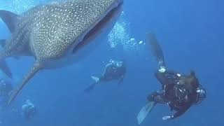IMG 6710 2