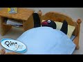 Go to Sleep Pingu | Pingu Official | 1 Hour | Cartoons for Kids