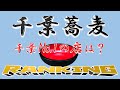 【名店揃い】千葉県蕎麦ランキングTOP20