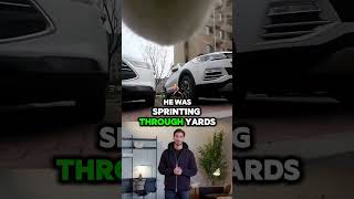 Celebrity He Put a Camera on His Cat… What He Caught Is WILD 😳 Profile