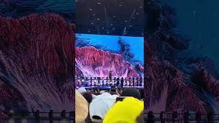 Sch  Fusil  Live Den Coast 2024