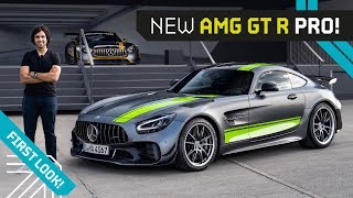 Mr AMG on the AMG GT R Pro! Road Legal Track Demon!!