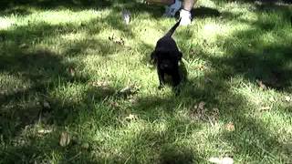 MOV06727
