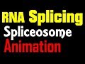 RNA Splicing Animation | spliceosome mediated splicing