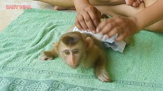 The Cutest Luna Waiting Mom To Change Diaper