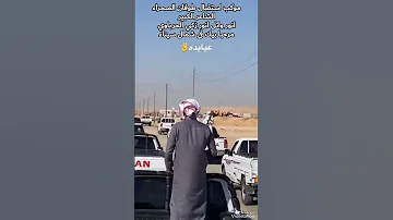 فديو من عائلة العيايده موكب استقبال طوفان الصحراءالشاعر انور وائل انور زكي الحرباوي في شمال سيناء 