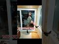 KATOTO KA YESU ONLY THE ANANAS IN THE GARDEN Shorts Shortvideo Love Viral Viralvideo 