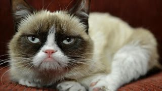 The 404 - 1,591: Sony keeps getting hacked, Black Mirror, will VR ever work?