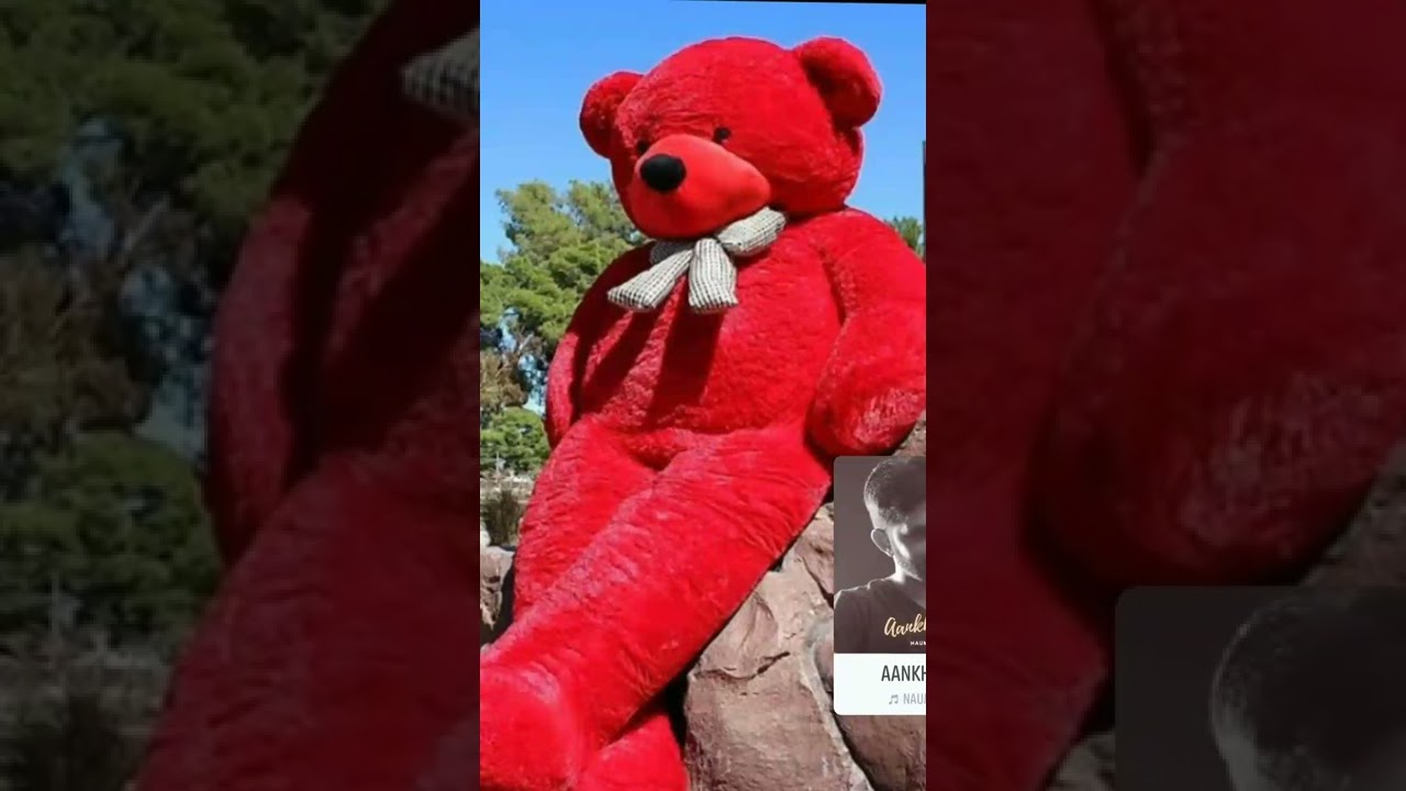 Teddy bear YouTube