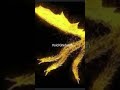 Leviatã Cósmico vs Void Ghidorah
