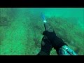 Spearfishing The Sunny Coast