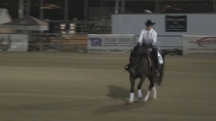 Dunit On Fyre RA & Audrey Hart  2015 Half Arabian ...