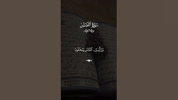 سوره النصر ماهر المعيقلي #قران #ماهرالمعيقلي  #quran #قران_كريم #تلاوة_خاشعة #alaa_mustafa_1