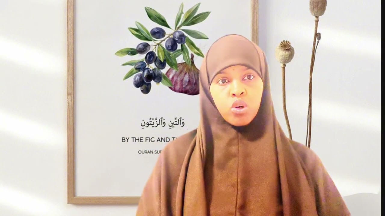 Narcissistic supply nocyadoda.####