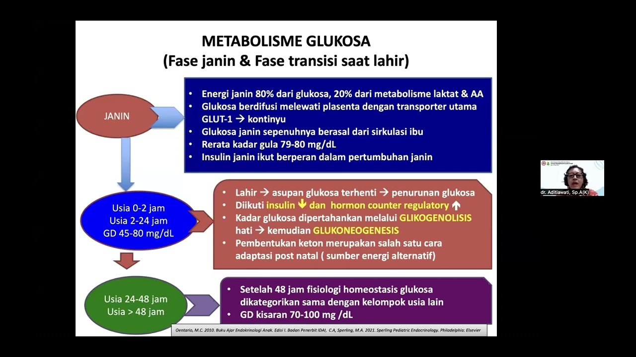 Online Symposium Terapi Hipoglikemia pada Anak