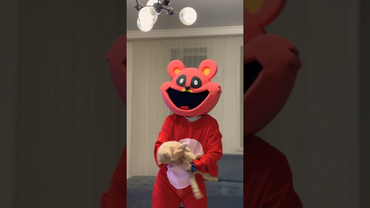 SMILING CRITTERS BOBBY BEARHUG WITH CAT YouTube SMILING CRITTERS BOBBY BEARHUG WITH CAT YouTube