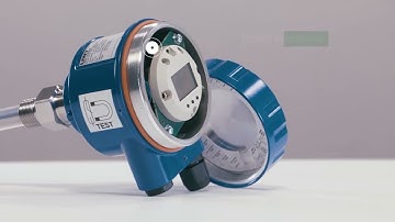 Capacitive Level Switch | RFnivo® | Point level measurement | LIQUIDS & INTERFACE