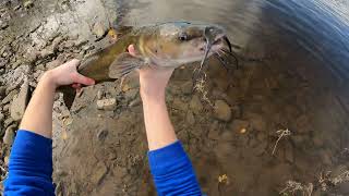 Fall Channel Catfish on Saltwater Clam River Fishing