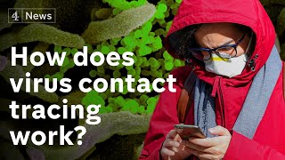 Coronavirus contact tracing explained - as NHS launches app on Isle of Wight