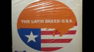 Latin Breed - A Punto De Llorar chords