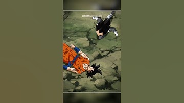 Vegeta Will Always Protect Goku From Their Enemies!