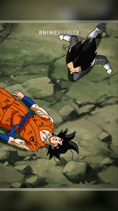 Vegeta Will Always Protect Goku From Their Enemies!