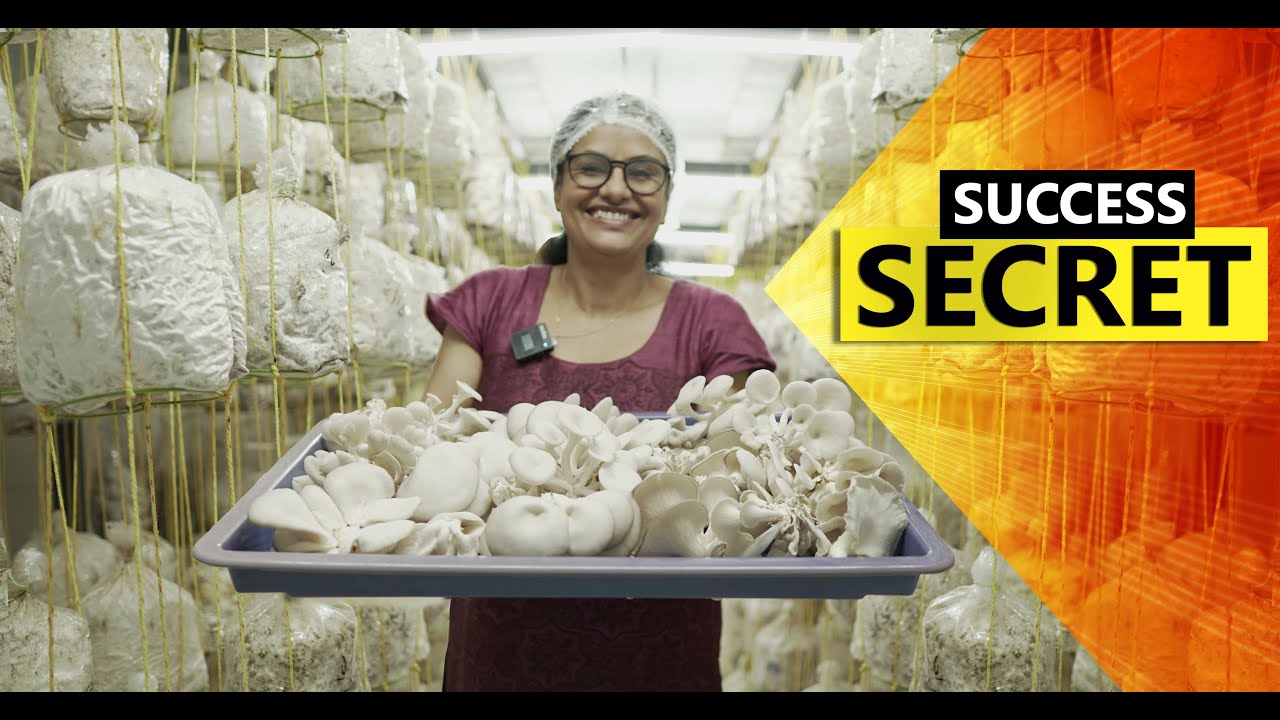 കൂൺ കൃഷിയിൽ  ഒരു ടീച്ചറിന്റെ വിജയഗാഥ / A Teacher's Success Story in Mushroom Cultivation