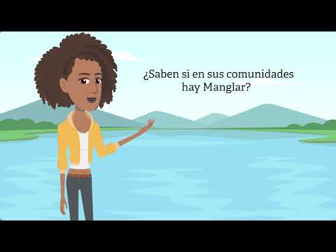 Video: ¿Quién es el manglar?