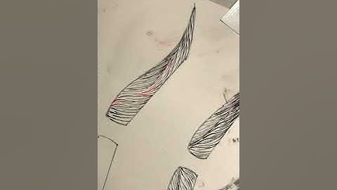 Applied Microblading Patterns:  Bold Brows