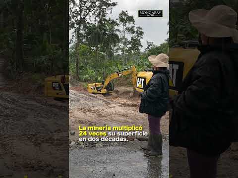 La Amazonía ecuatoriana ha perdido más de 623 mil hectáreas en dos décadas | INFORME