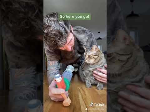 Video: Kucing dengan Asma: AeroKat Feline Aerosol Chamber
