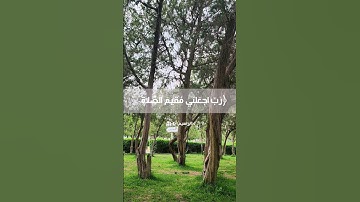 تلاوة ما تيسر من سورة إبراهيم للقارئ مشاري العفاسي