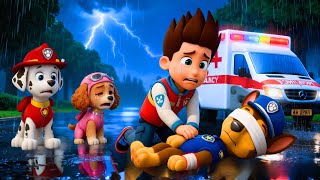 CHASE Please Wake Up! What Happened?! Don't Leave Paw Patrol ! | Paw Patrol 3D Animation | Rainbow 3