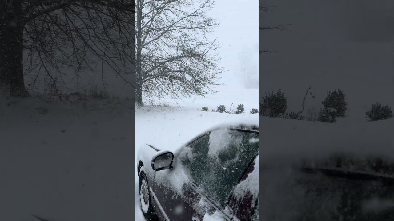 Снежная буря в Джорджии 31.01.2026 